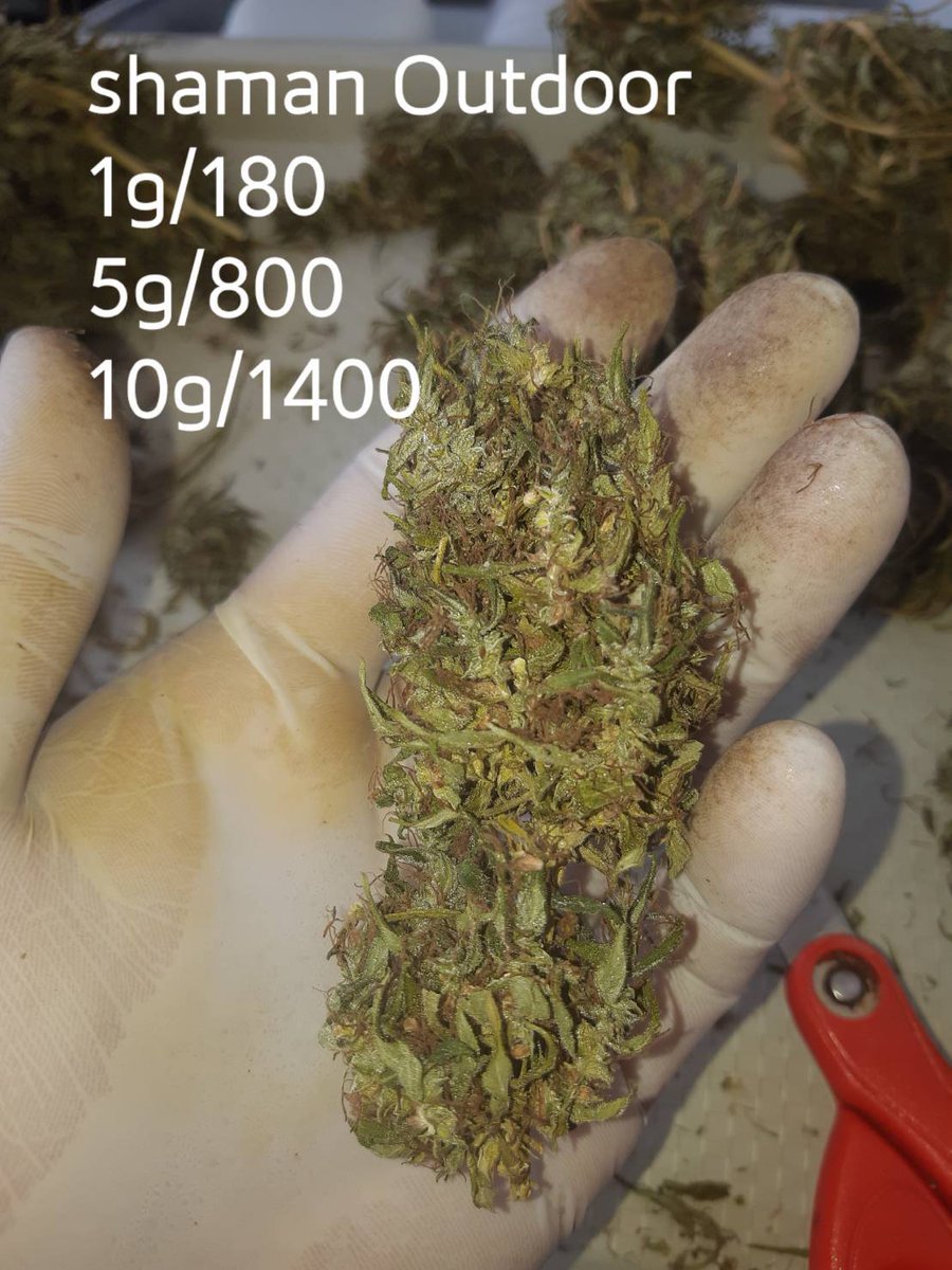 Rockabit1's tweet photo. Shaman
#weedpattaya #weed #CannabisNews #smokeweed #cannabispattaya #smokeweedpattaya #cannabisthailand https://t.co/6Nmlmmqc38 https://t.co/50dmuWGgrj