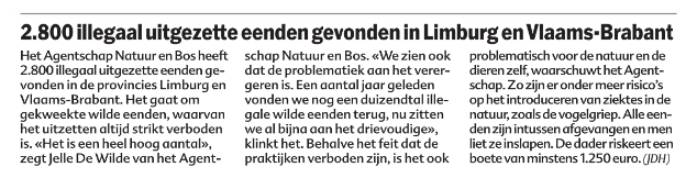 welzijnsflik's tweet photo. Helpt @HVV_Hubertus de verdachte mee opsporen?
Wist je trouwens dat ook een gevangenisstraf van 1 m tot 5 j mogelijk is voor dergelijke feiten?
Stelt @vogelinfo zich burgerlijke partij?
Via @HLN_BE
#dtv #jacht #soortenbesluit #DABM https://t.co/omKOo8Z4hl