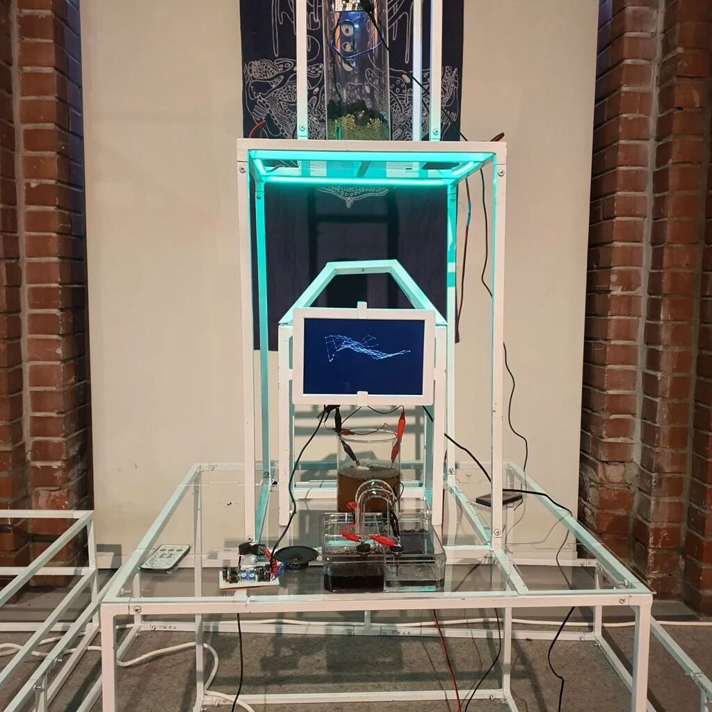 HONF Foundation tweet media
