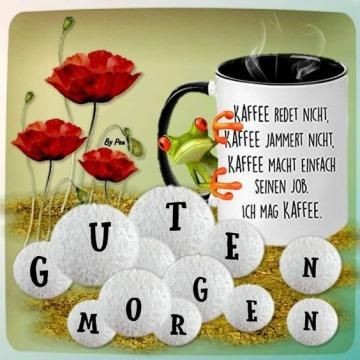 Schönen guten morgen ☕️ ☕️ ☕️