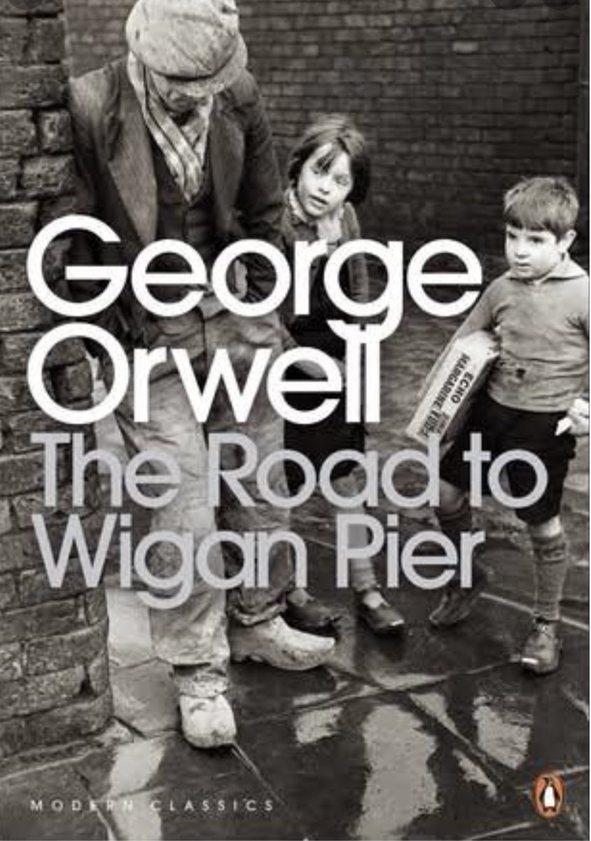 Nikkwapili tweet media