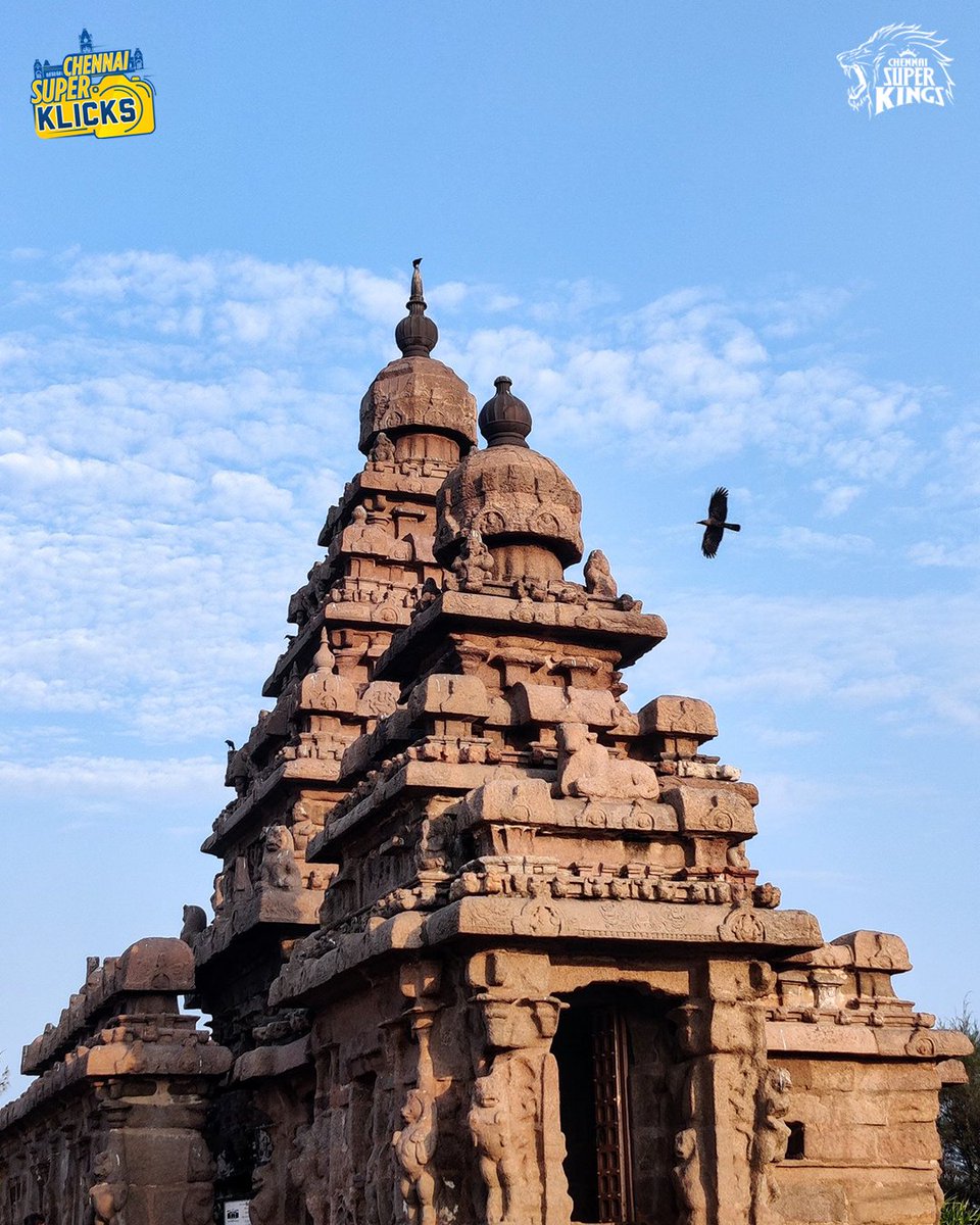 Namma Chennai 💛through the Superfan Lens 🎥
Madras Day Week ➡️ Vibe 🔛

Post your 🖼️ with #ChennaiSuperKlicks 
#WhistlePodu #Yellove 🦁💛 @MInherited