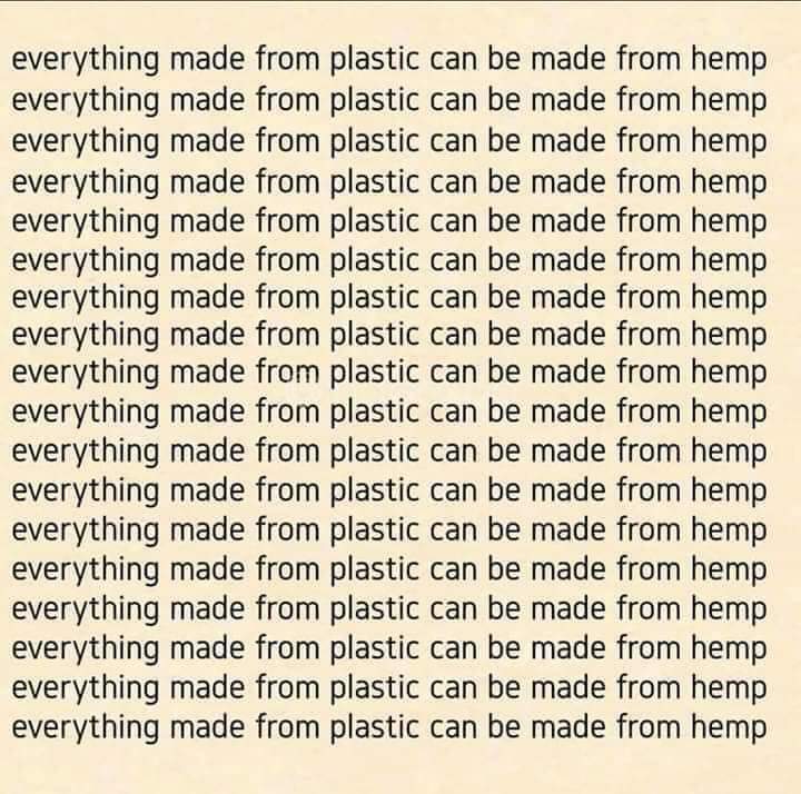 permacultureGB's tweet photo. #hemp #permacultureproject https://t.co/7xVTLvLPD4
