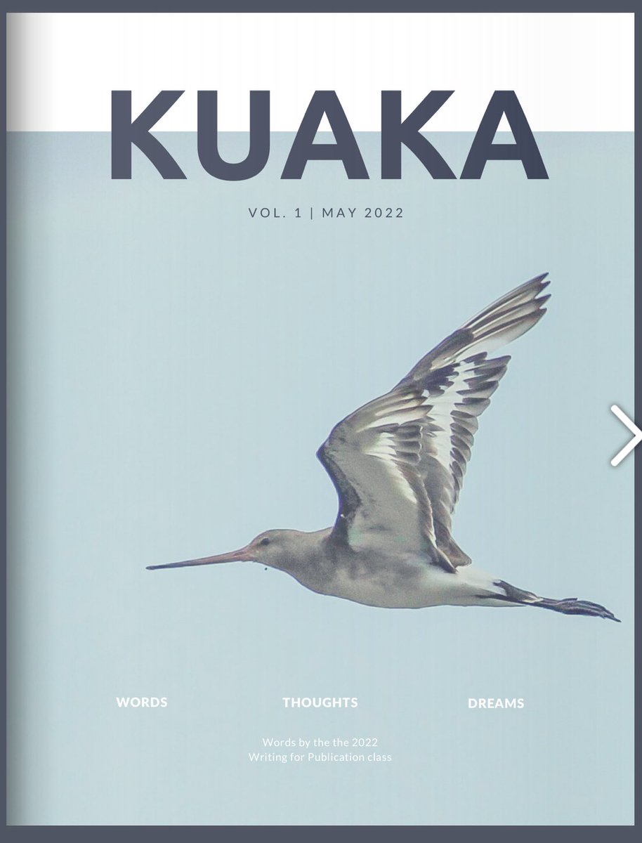 Rowan Taigel tweet media