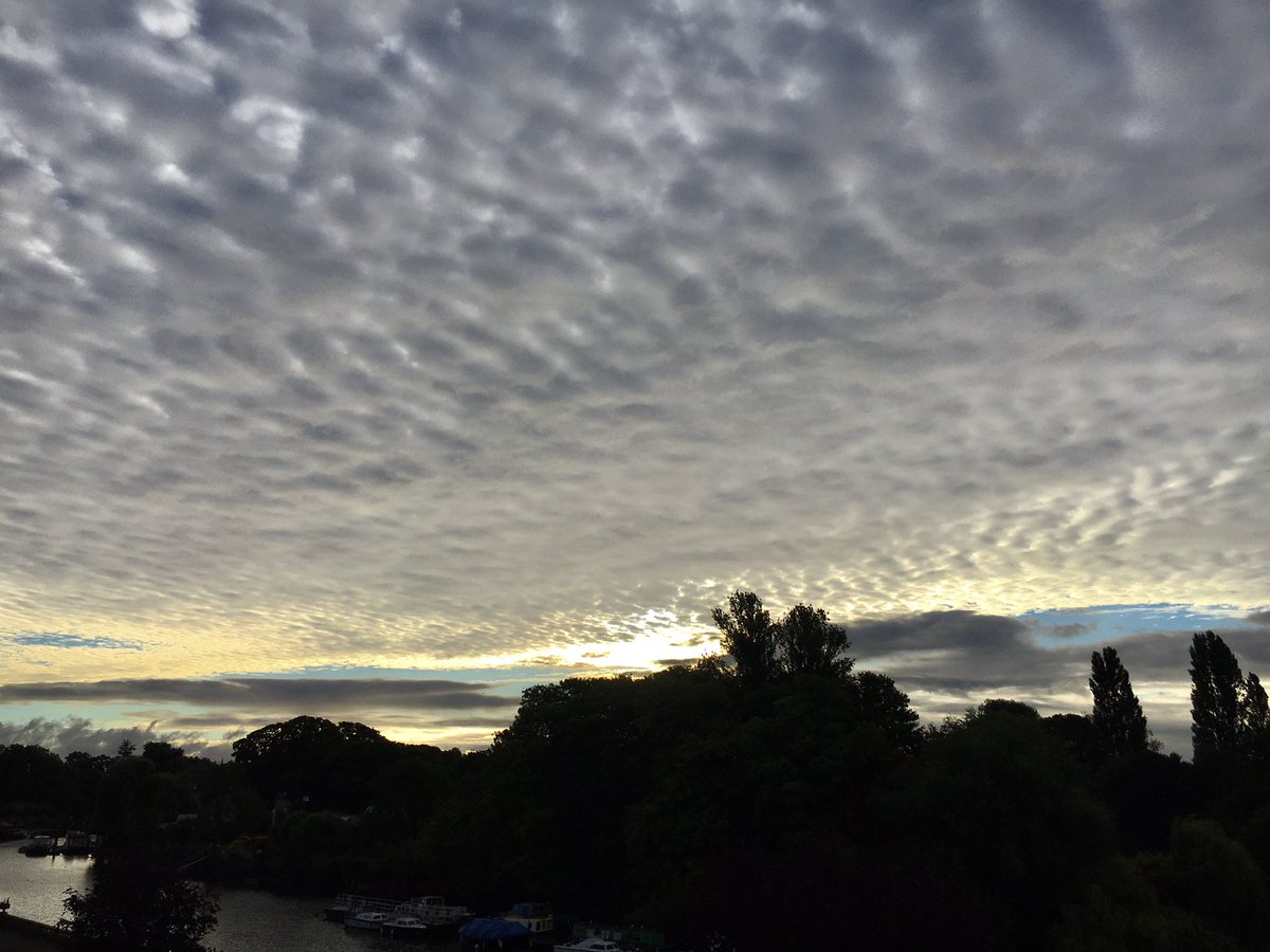 ruths_gallery's tweet photo. Itβs Friday again and what great start we had to the day at Twickenham with some stunning #altocumulusclouds at #sunrise
@metoffice #loveukweather @ThePhotoHour @SallyWeather @CloudAppSoc #fridaymorning https://t.co/3UORgUz55k
