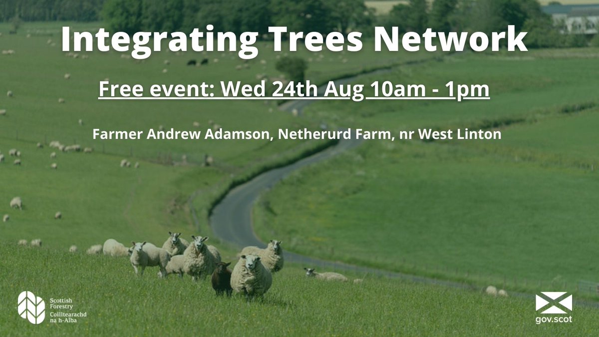 scotforestry's tweet image. Walking &amp;amp; Talking Trees event: join farmer Andrew Adamson on his Netherurd Home Farm, nr West Linton, to find out more about his experiences of growing trees. We will be there to help advise on forestry grants. Tea &amp;amp; biccies provided! 

Booking here: ➡️ eventbrite.com/e/walking-and-…
