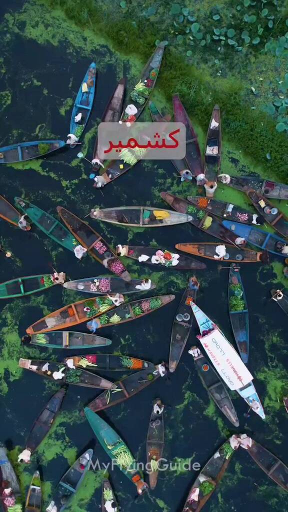 Travel my kashmir tweet media