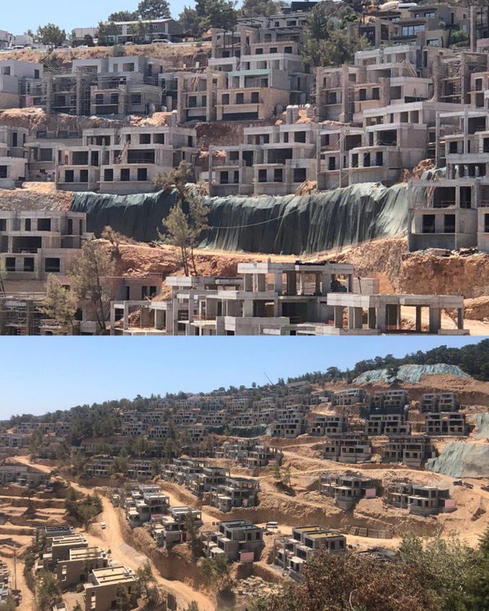 gölköy'de bodrum mesa projesi nedeniyle bölgedeki tüm ağaçlar kesildi. bölgenin son görüntüsü: