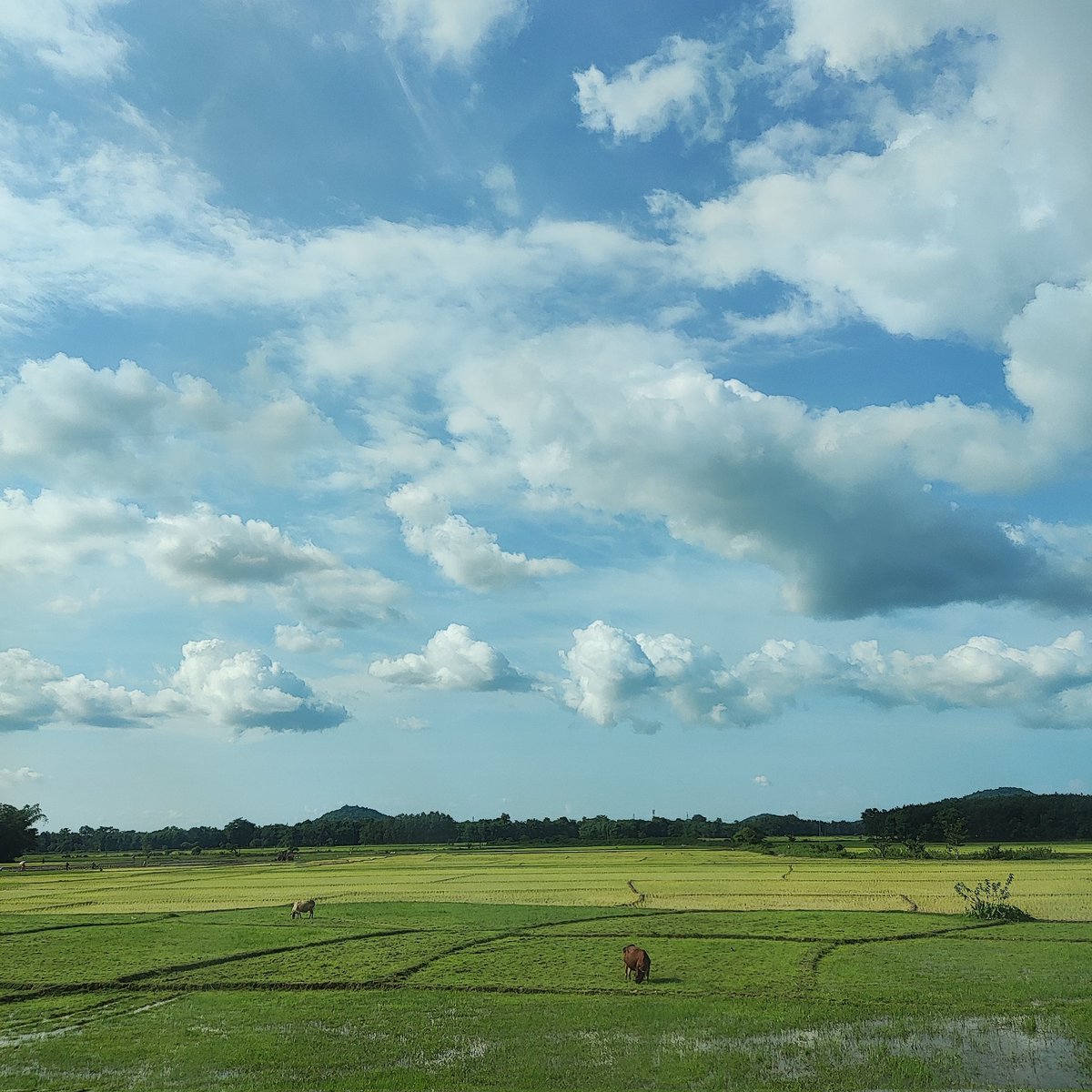 xhobdo's tweet image. Happy World Photography Day 💚
Keep Clicking 📷 Keep Inspiring 🌟
.
.
.
#WorldPhotographyDay #WorldPhotographyDay2022 #EveryDayNEIndia #AwesomeAssam #অসম  #ShotOnXiaomi #xhobdo