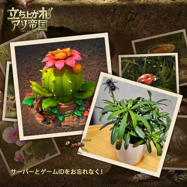 antlegionjp's tweet photo. 「サボテン祝日チャレンジ」🌵
活躍任務を達成することで「砂」を獲得
「サボテンガード」を永久獲得!
全身トゲトゲのサボテンはアリの巣を守ってくれる!
コメントであなたのお気に入りな盆栽を教えてください!
抽選で10名様に無料パックをプレゼントします!🎁

ヒント:コメント画像のほうがいいよ🫰~ https://t.co/NmHR6Ahk5x