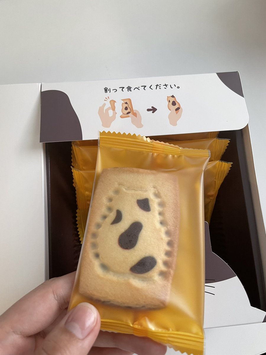 chlnacchan's tweet photo. 猫好きをもてあそぶクッキーもらった https://t.co/0DFBY0sRt0