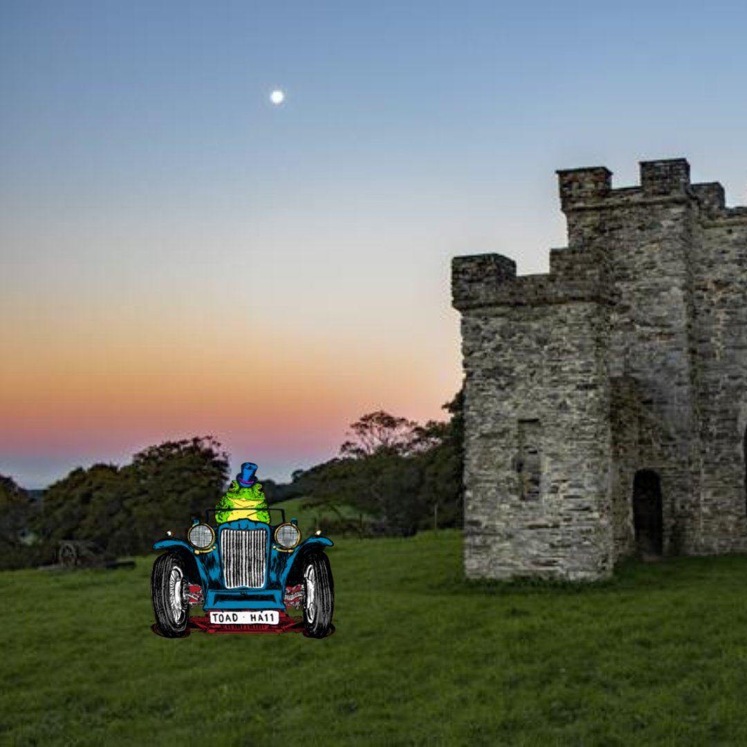 Calf2Cow's tweet photo. We've travelled all the way back down the country and are returning to Devon to visit the @Castlehilldevon in Filleigh!!
Tickets still available here: https://t.co/qOG1wSk5Td
#ToadOnTour🐸 https://t.co/vuEICiMwOi