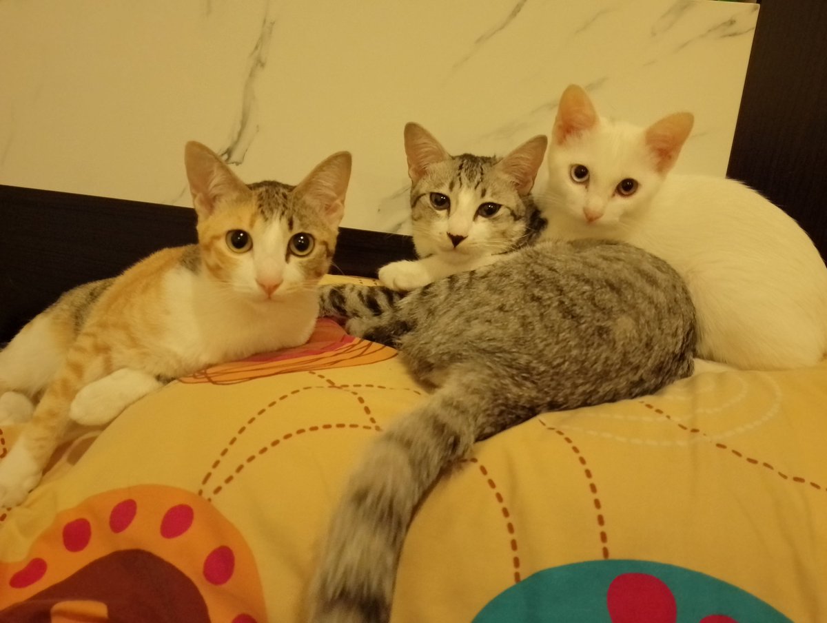 ☞ONLY MEE⛓️ tweet media