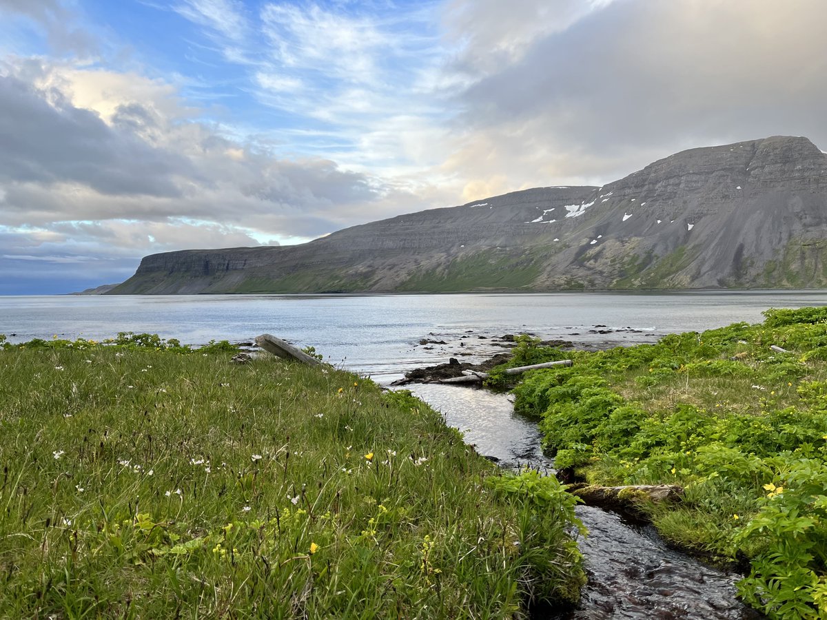 The Mount School York tweet media