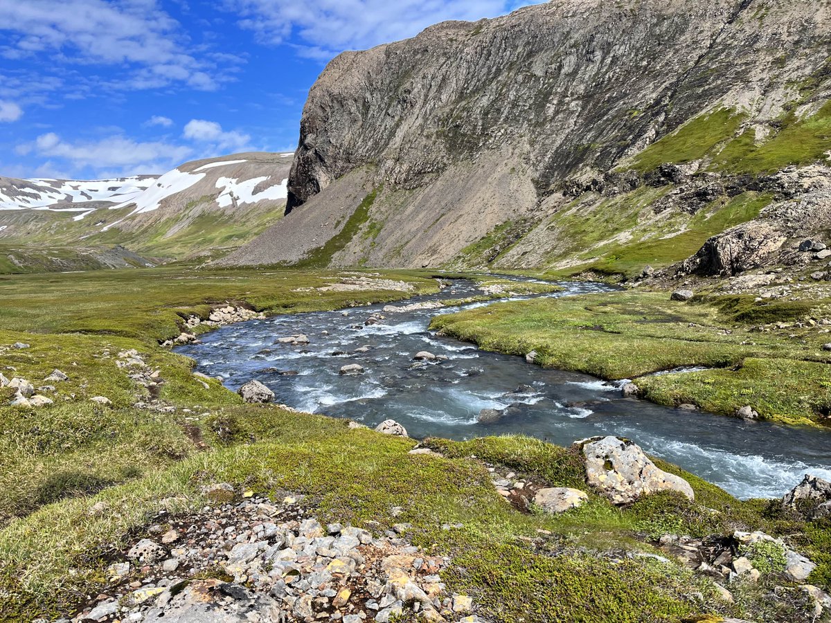 The Mount School York tweet media