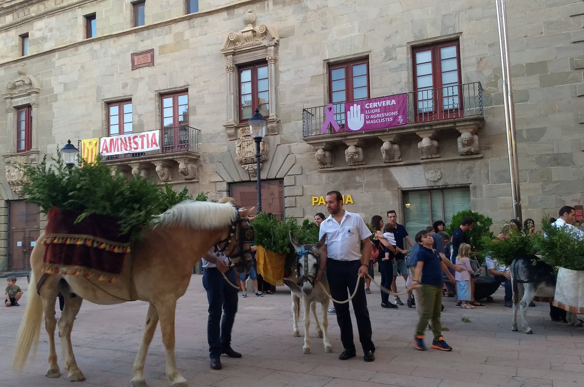Festa de Sant Magí de Cervera
#SantMagí2022 #Cervera