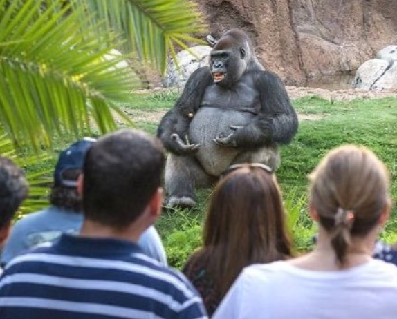 Josephine Liptrott tweet media