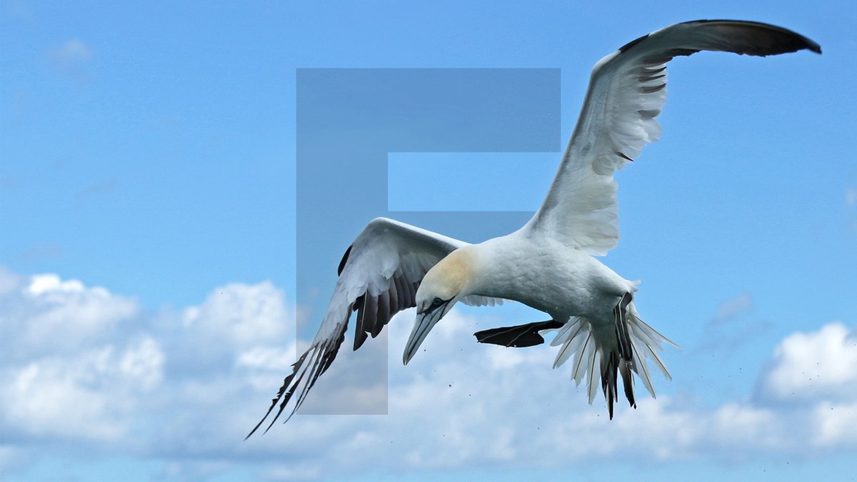 Our Finance Manager, Elaine, is a member of the <a href="/davyhulmecc/">Davyhulme CameraClub</a> camera club. What a gain this is to the Foundry team. Our latest blog post gives an insight to what Elaine gets up to and the challenge she’s now set the rest of the team #WorldPhotographyDay 🔗bit.ly/3T5h2fN