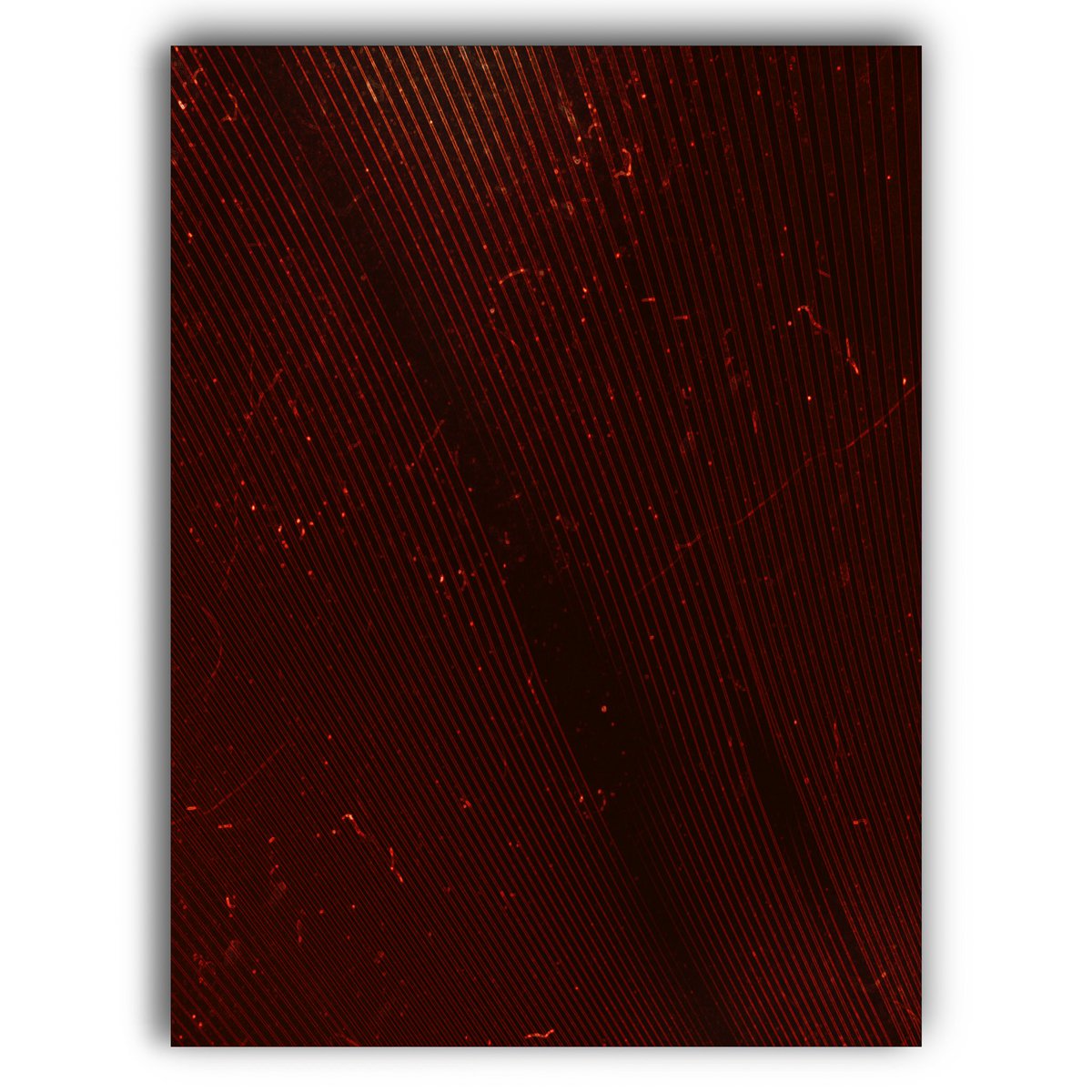 mohdzai40936702's tweet photo. Gm ! From my Dark Side. If your still here keep going! 
We’re on the same path. 🤍

#digitalartwork #NFT https://t.co/FMYTnUaz3a