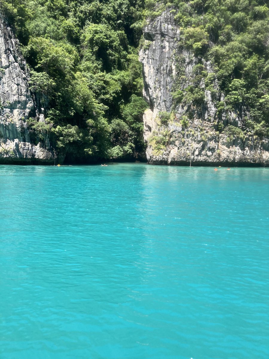 PTrainingMartin's tweet image. 