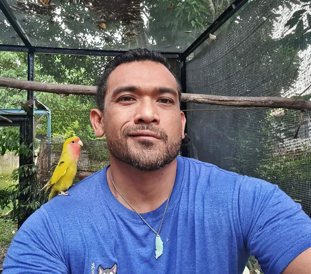 AzrulAzmi0106's tweet photo. Hes telling me the latest gossip he heard from the turtle dove #lovebird #daddyBird https://t.co/3EJFJvqDnQ