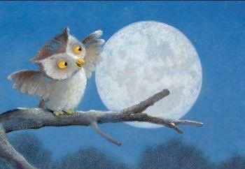 orionx10's tweet photo. Llega el anochecer
Lo acompaña
Un grato recuerdo...🦉 https://t.co/n2XQXbOohw