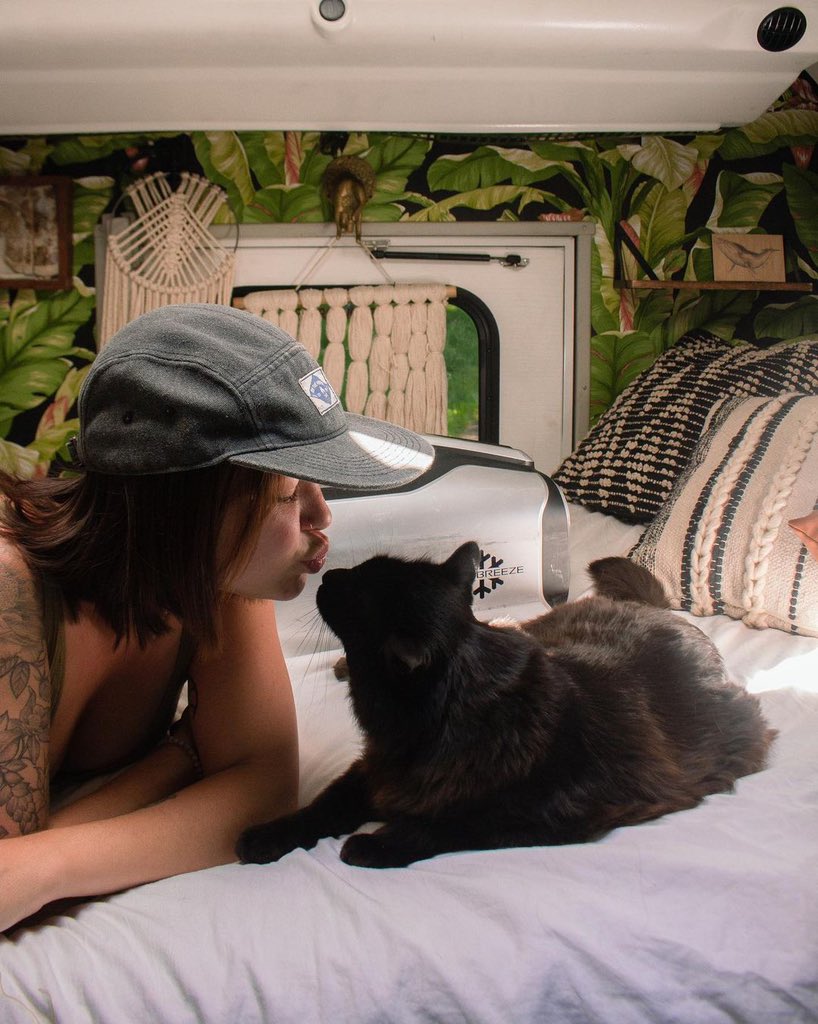 ZeroBreezeTeam's tweet photo. Summer can be difficult for a long-haired black cat Kayden, point ZERO BREEZE at his favorite lounging spot to keep him chill!
📷@sydneyskoolie
#ZEROBREEZE #Mark2AC #buslife #cat https://t.co/C758uGXdjp