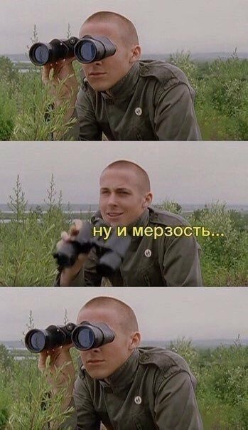kireny evgeev tweet media