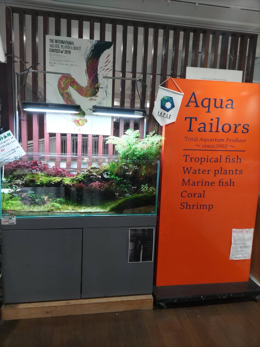 マメデザイン アクアリウム Mamedesignaqua Twitter
