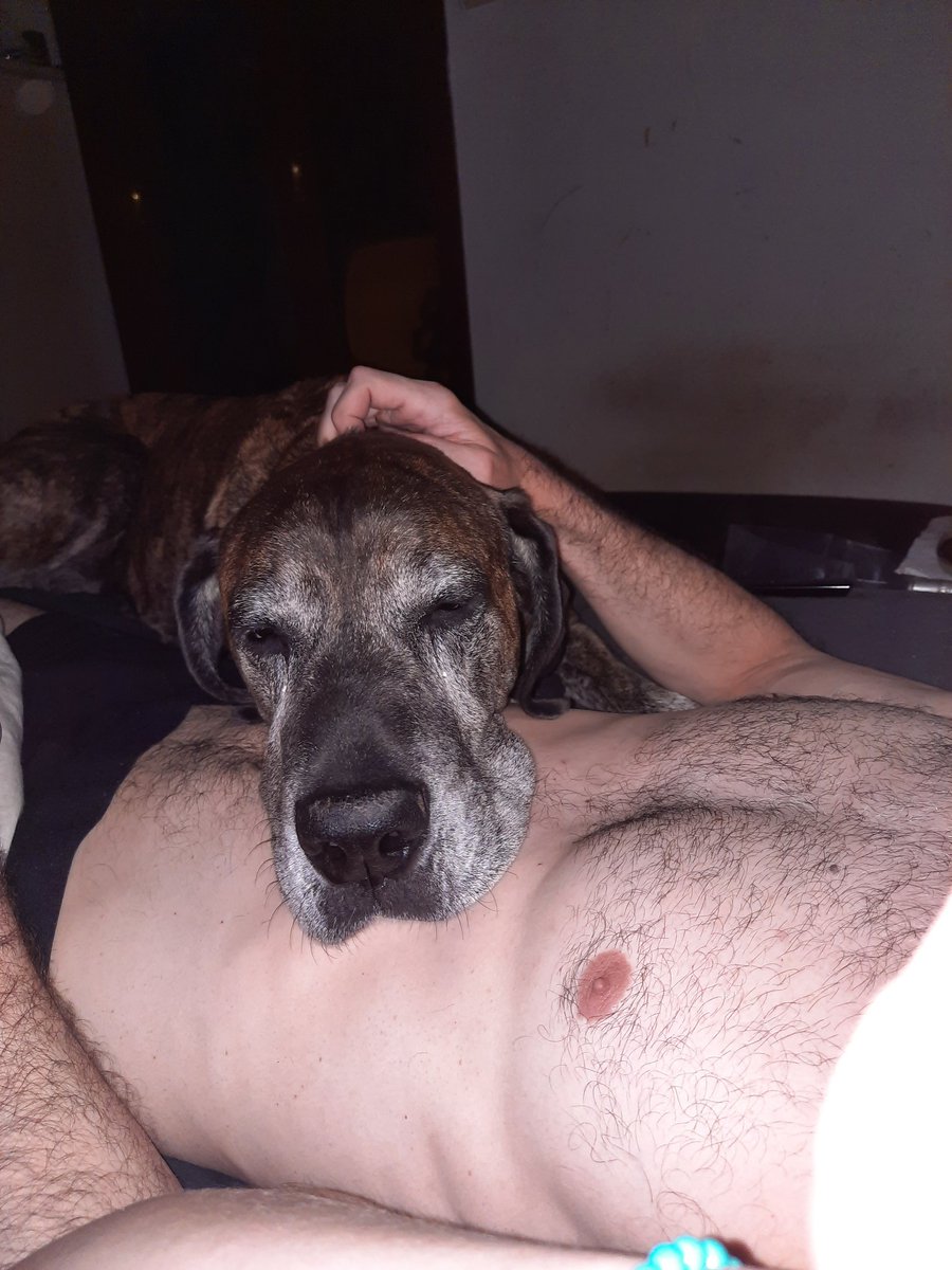 🐶 Der Olle hat heute Geburtstag. 🥳
Da gehört er ganz uns #Hunden. Grund genug, ihn schon am Morgen in Beschlag zu nehmen. *frechwedel* Wundert euch also nicht, wenn wir heute kaum erreichbar sind. *jawohlwoaff*
(rico)
gassireport.com
