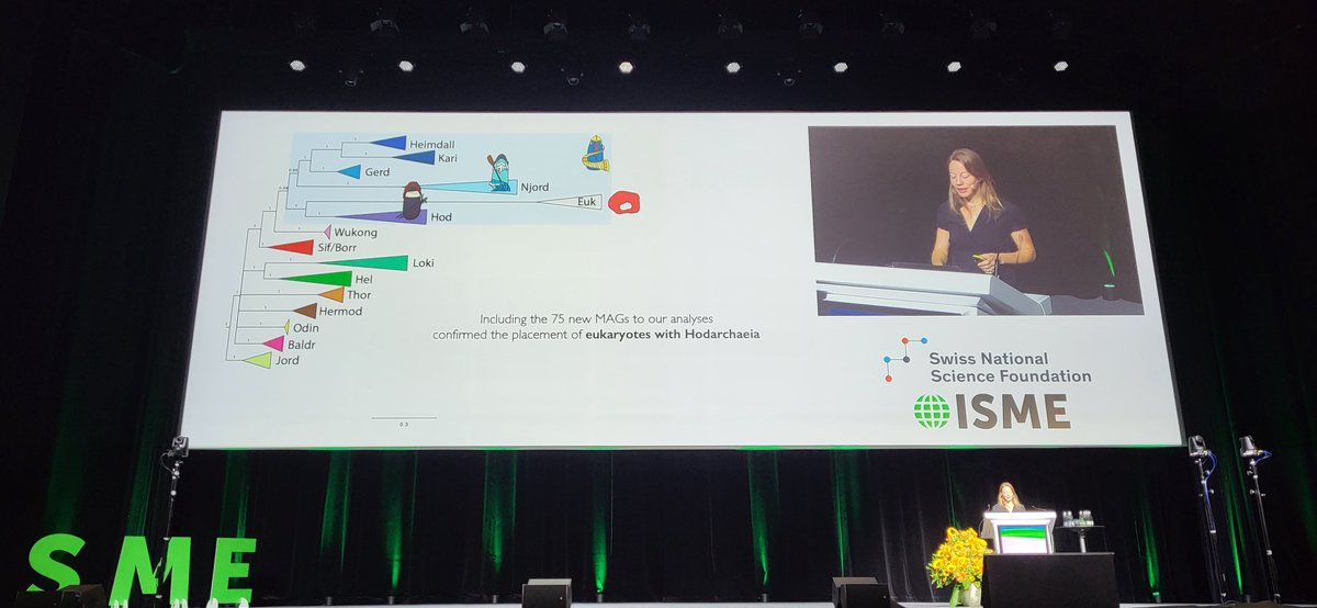 Last plenary lecture at #ISME18: @eme_laura explaining everything you need to know about the origin of eukaryotes.