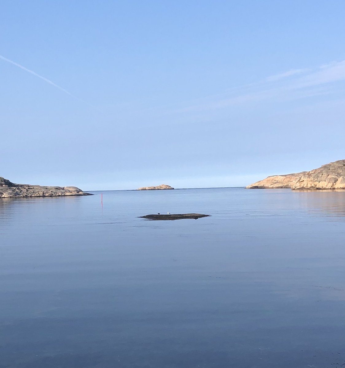 Augustisemester i #Bohuslän🌞