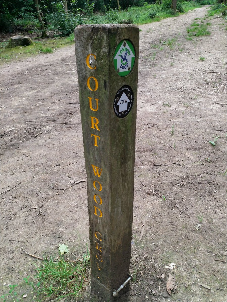 walks_camera's tweet photo. Two routes for the price of one! @LDNLoop and #vanguardway for #fingerpostfriday https://t.co/PdfzMBQgYW