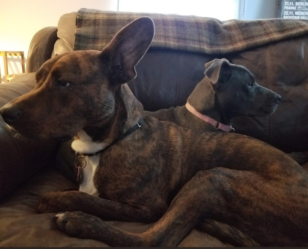 VALaVersa tweet media