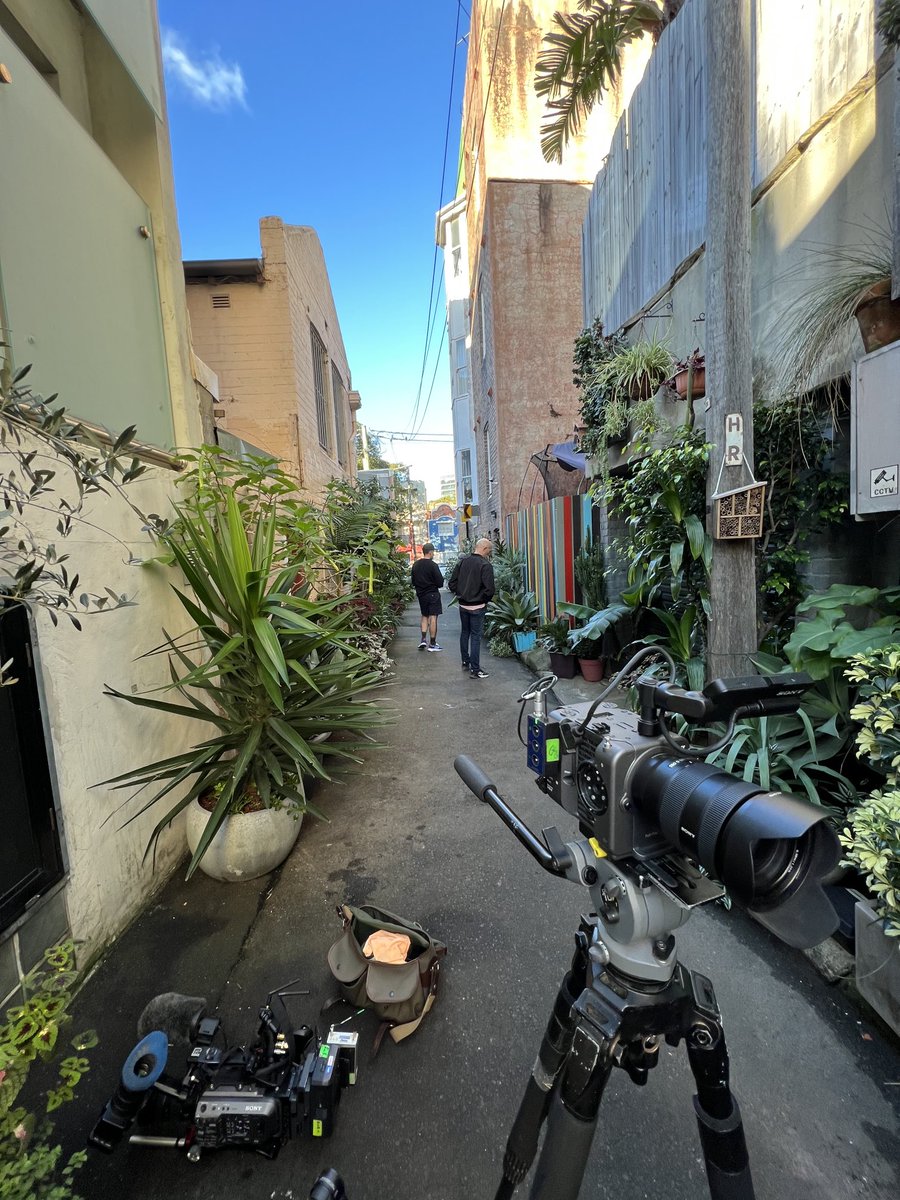 CostasGarden's tweet photo. Sebastian &amp; Mike decided it was time to take the lead &amp; transform their back lane filled with rubbish&amp; anti social behaviour into something for the community.They started with 2 pot plants.Its now an oasis.Action + community = unexpected. #gardeningaustralia ⁦@ABCTV⁩ https://t.co/ID6lrsiozj