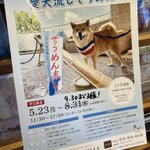 ツイートに含まれる画像