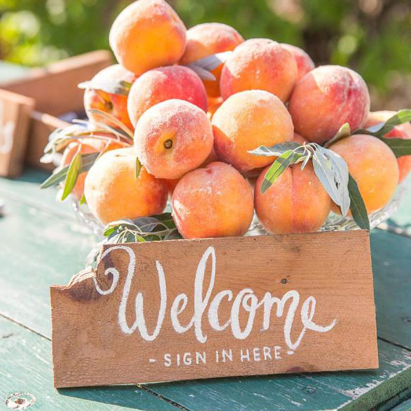 A Soft Peach and Blue Colour Scheme bit.ly/2bmV56P