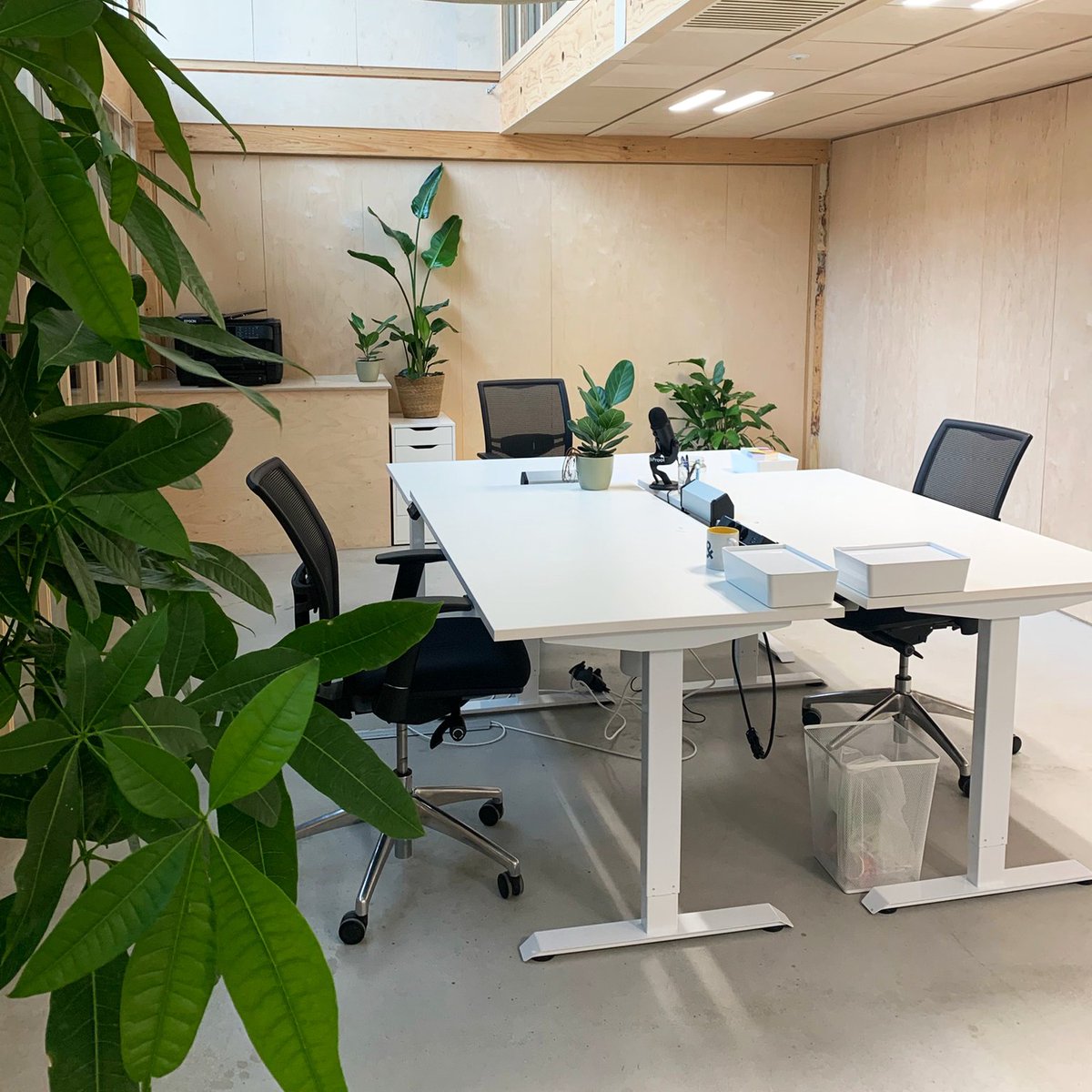 Pullposition's tweet image. Uit onderzoek blijkt dat planten op kantoor de creativiteit en productiviteit van werknemers tot wel 45% kunnen verhogen. Nu alle bedrijven binnen de Cherry Group zijn gesetteld in de (nieuwe) kantoorpanden, hielpen wij dan ook met alle liefde om de kantoren te vergroenen 🌿