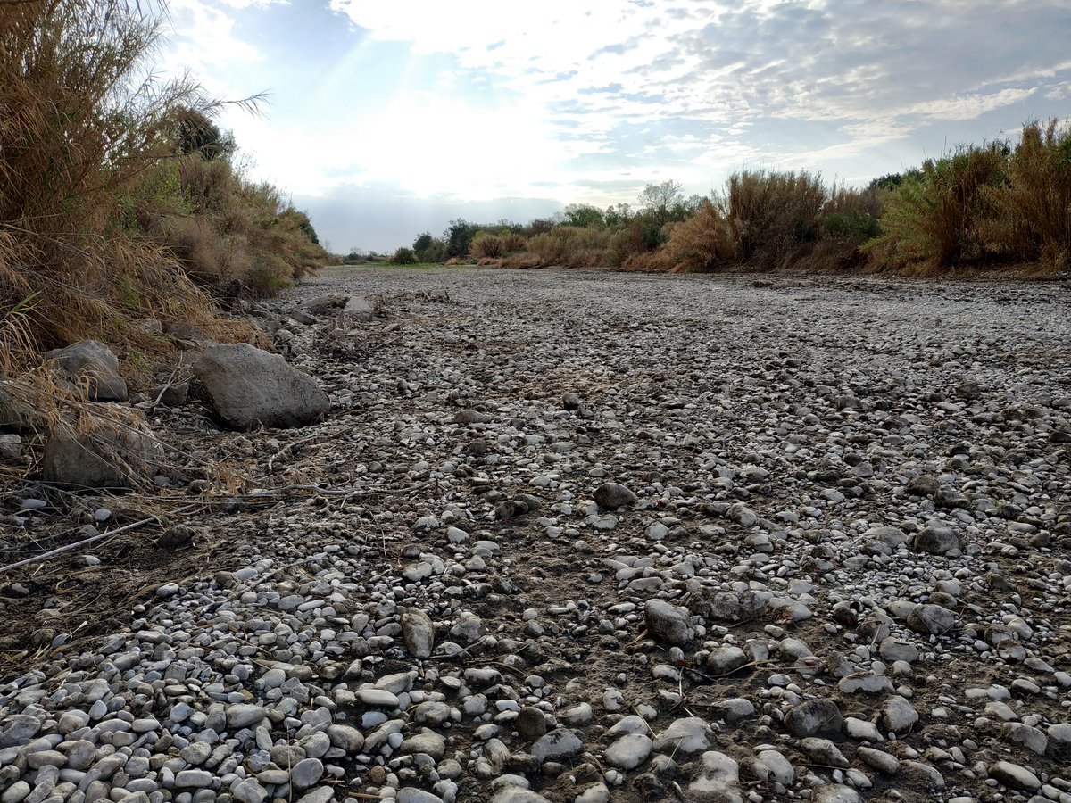 Baix Fluvià tweet media