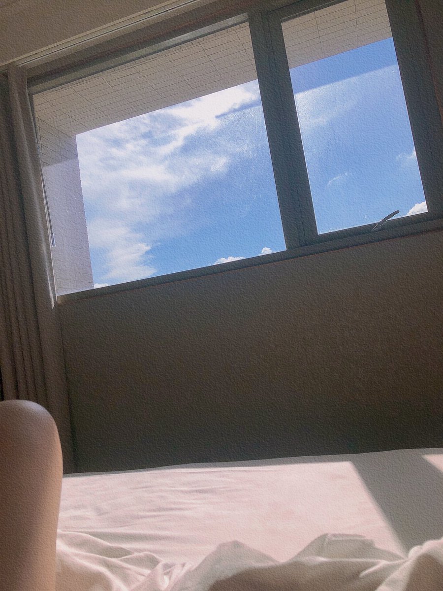 不出門也可以曬日光浴

#天氣好好 https://t.co/4EFZHQsXRg