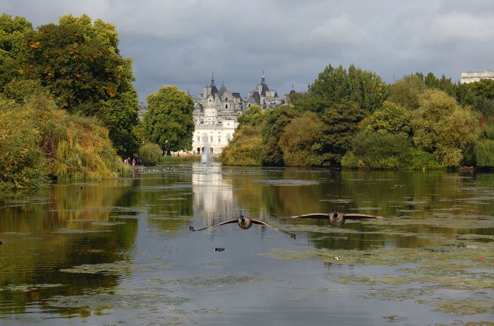 BrownCapability's tweet photo. #CapabilityBrown was appointed Royal Gardener to King George III in 1764. He drew up plans for improving St James’s Park's formal layout, unchanged since 1660s, & bought by king in 1761 with Buckingham House & grounds. His initialled undated plan survives. https://t.co/Brx98s08El