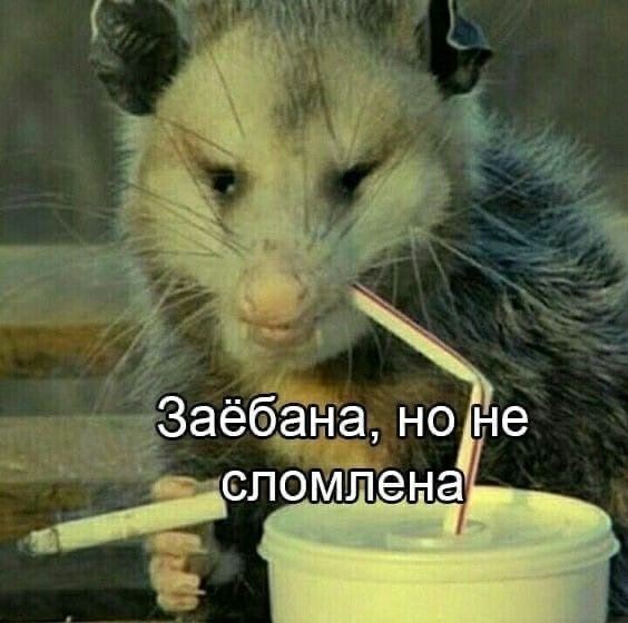 #всерадиигры #allforthegame #aftg
Кто-то: Элисон, ну как ты после всего?
Элисон: