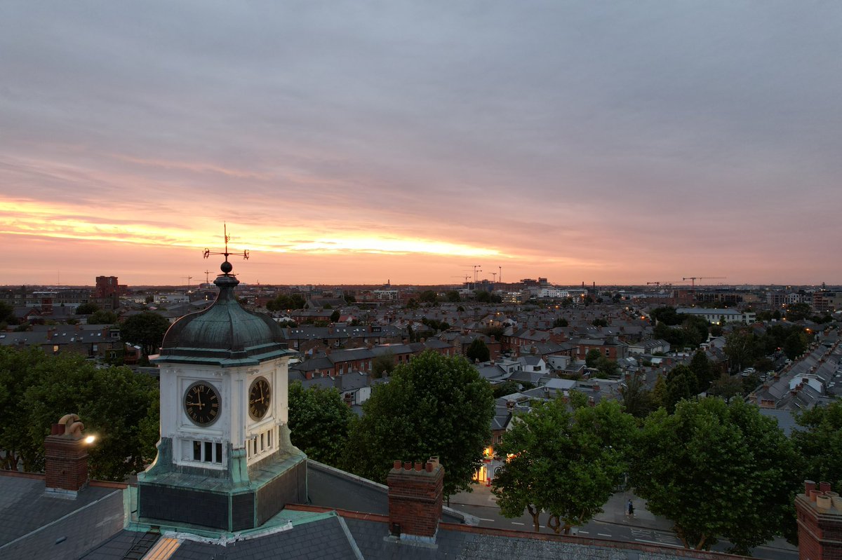 Gm🌞 NFT tweet media