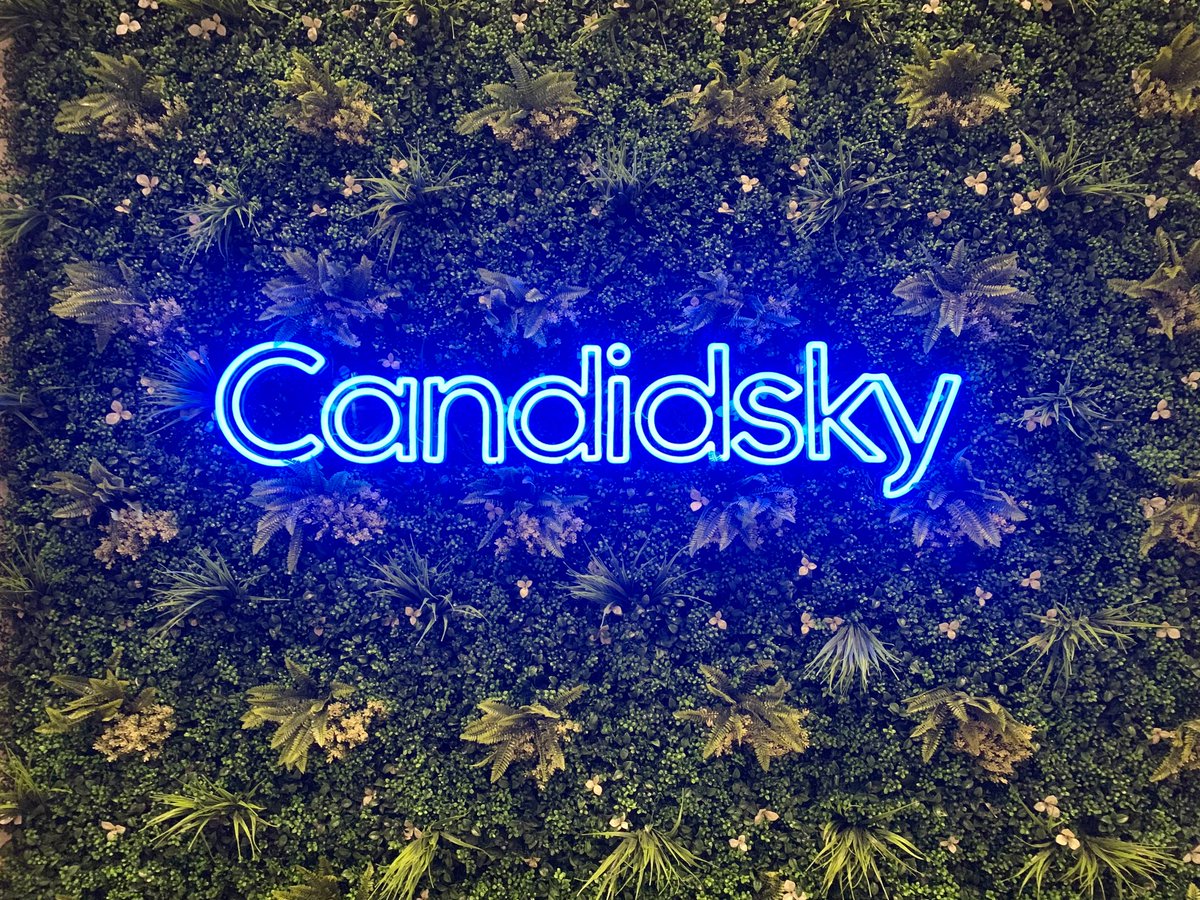 CandidSky's tweet photo. We love how our office is coming along!

It's the small things that make your working environment that bit more special 🌟

What do you think?

#office #marketingagency #teamupdates https://t.co/Sdcgq6Shf4
