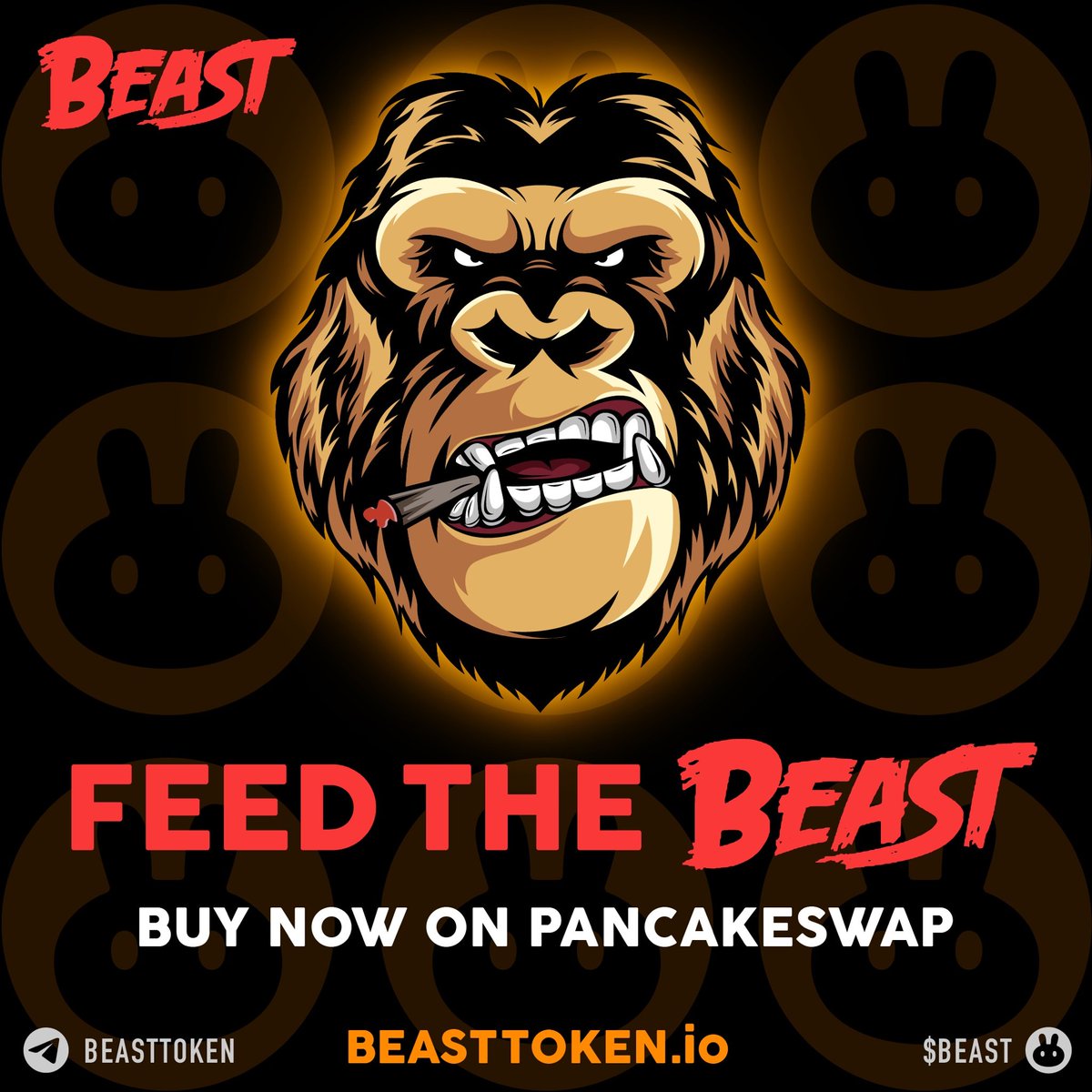 soully27's tweet photo. Never missed to buy the $BEAST on today's dip!

Go to PancakeSwap, find $BEAST and buy! You'll get money later on! 🚀💯 #BEASTTOKEN #BEASTEVERYWHERE https://t.co/5SegWjFdC3