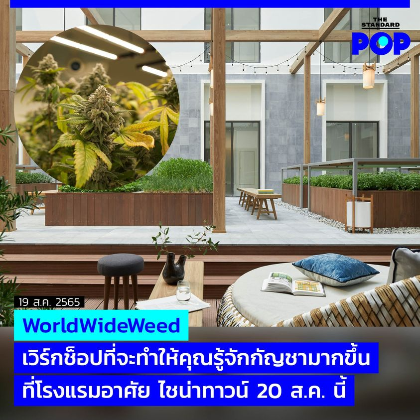 TheStandardPOP's tweet photo. ใครอยากรู้จักกัญชาแบบมีความรู้และดึงประโยชน์มาใช้สูงสุด ลองชวนเพื่อนไปเข้าร่วมเวิร์กช็อปนี้ด้วยกัน ในคลาส #WorldWideWeed ที่โรงแรมอาศัย ไชน่าทาวน์ 20 ส.ค. นี้
อ่านต่อ https://t.co/z7evxiYsty
#TheStandardPop #กัญชา https://t.co/iq9v7W8q93