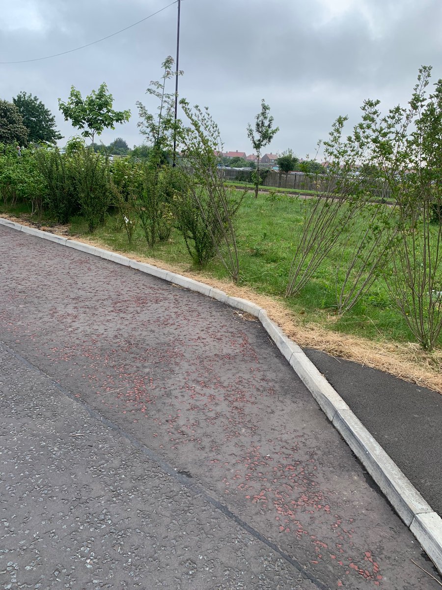 MissMadisonBout's tweet photo. @GentooHomes @gentoogroup @GentooHomes has this been passed over as still have not heard anything.  Not surprised though to be fair, #customerservice is shocking.  Area still looks a mess, but your new site over the road looks pretty tidy.  Hopefully people will see this and decide now to buy gentoo homes https://t.co/nCYzidqnYC