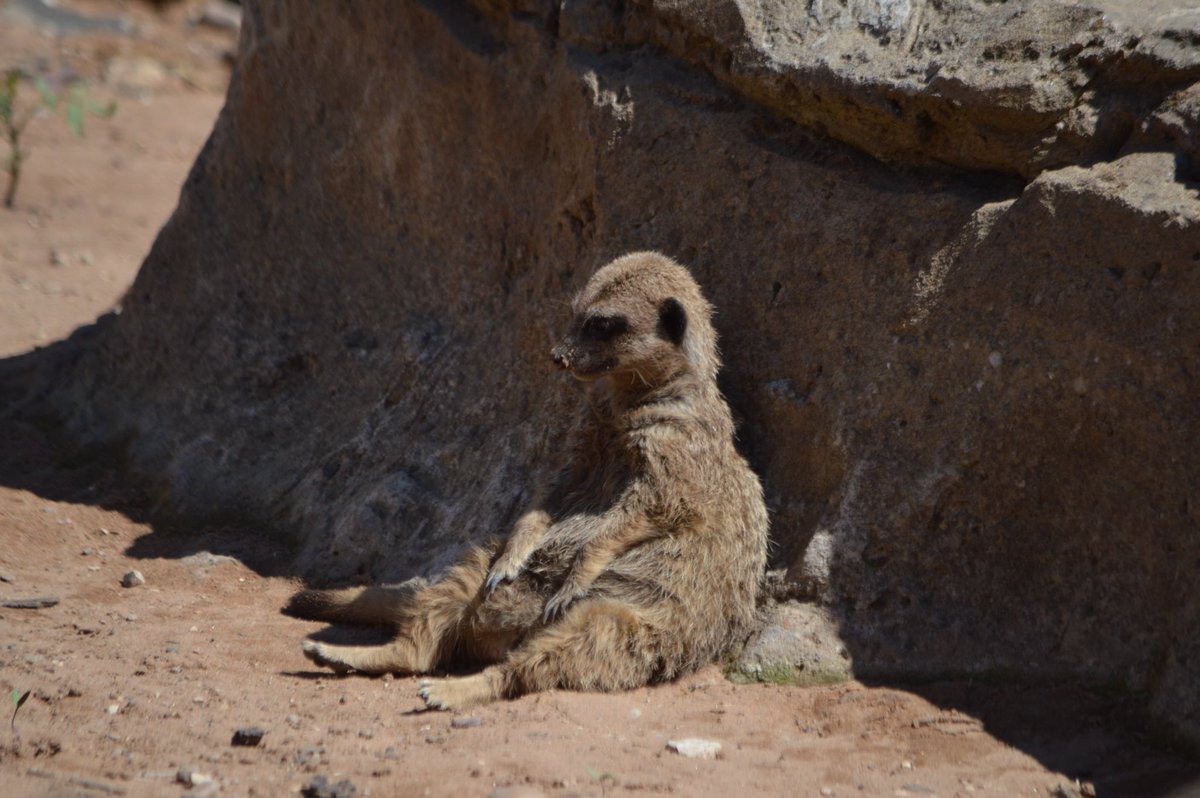 Kieran_Batstone's tweet photo. @YorkshireWP https://t.co/GiSGhnMCO2