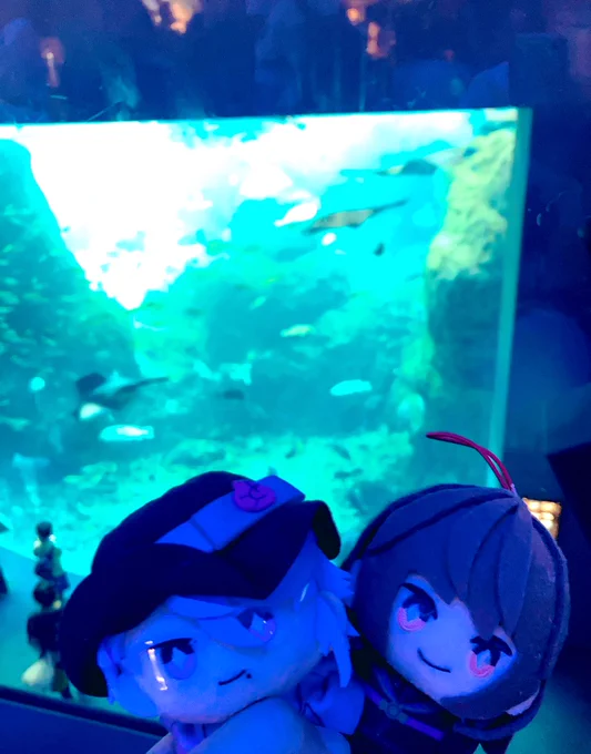水族館デートしてくれ〜(モストロでいい) 