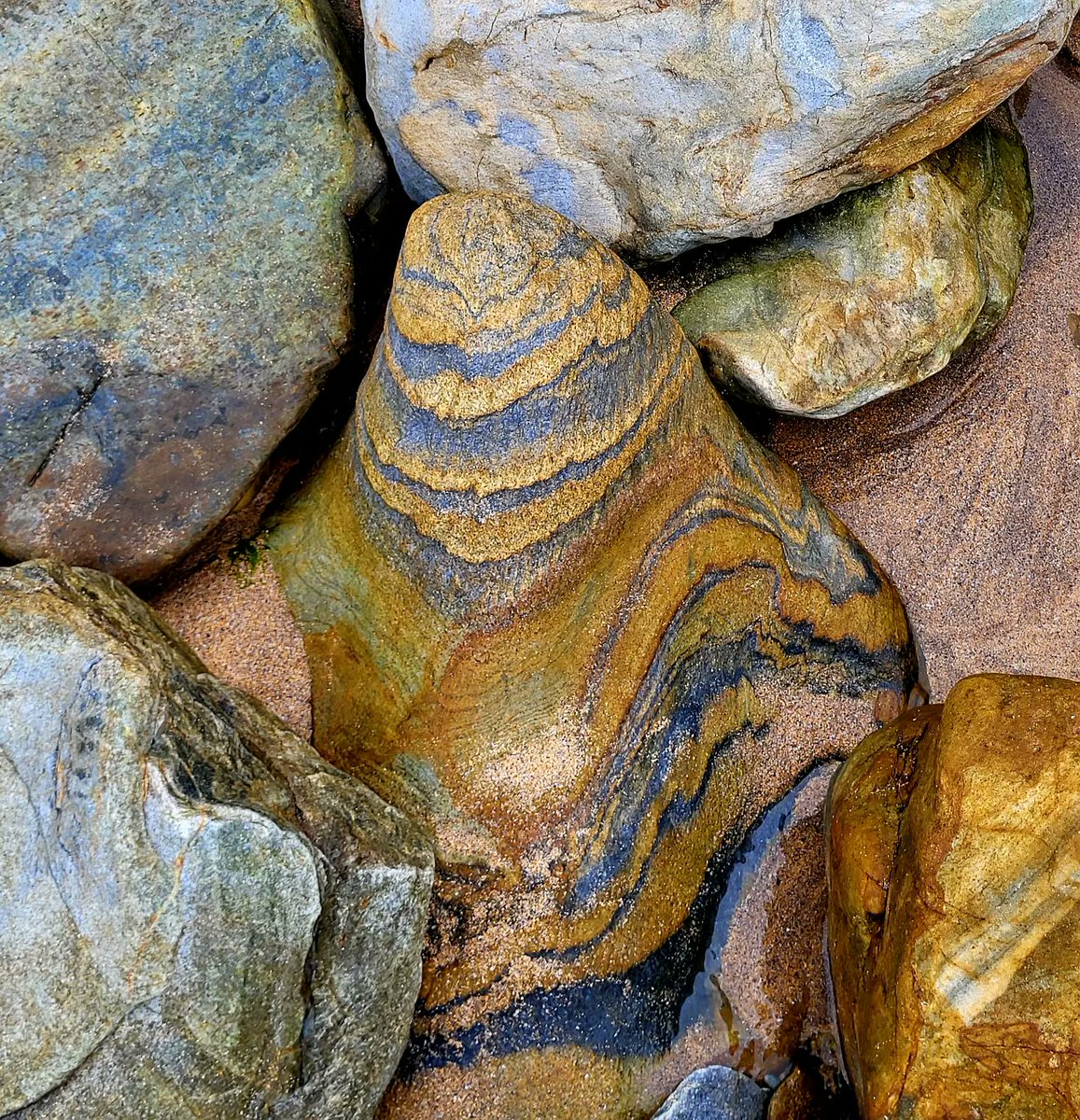 cormac_mcginley's tweet photo. A selection of beautifully patterned rocks from Glencolmcille, County Donegal, Ireland. https://t.co/eXaiQI8JYr